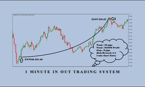 1 Minute In Out Trading System