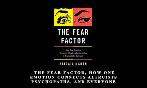 The Fear Factor: How One Emotion Connects Altruists Psychopaths and Everyone In-Between by Abigail Marsh