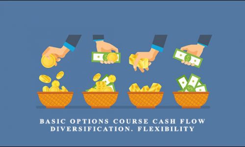 Basic Options Course Cash Flow. Diversification. Flexibility by Michael Drew