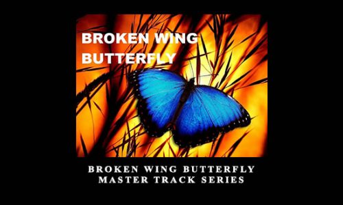 Broken Wing Butterfly Master Track Series from SMB