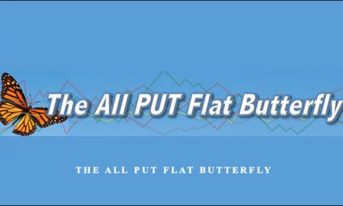 Dan Sheridan – The All Put Flat Butterfly