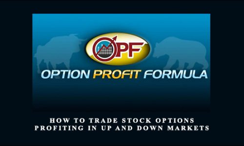 Travis Wilkerson – How to Trade Stock Options Course