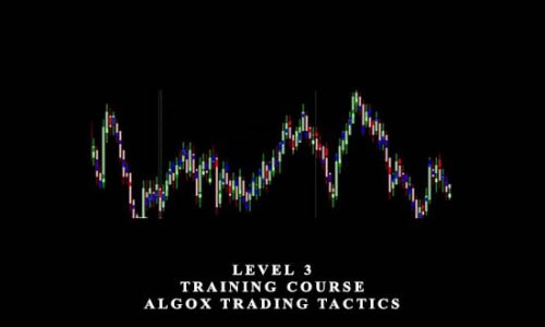 Level 3 – Training Course AlgoX Trading Tactics