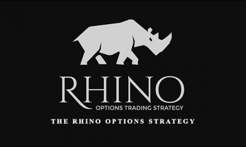 SMB – The Rhino Options Strategy