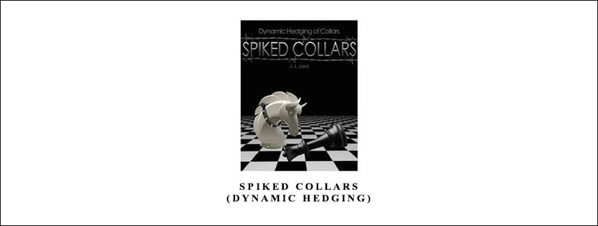 SPIKED-COLLARS-Dynamic-Hedging-2.jpg
