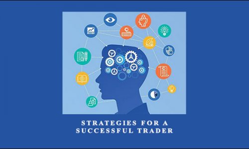 Strategies for a Successful Trader