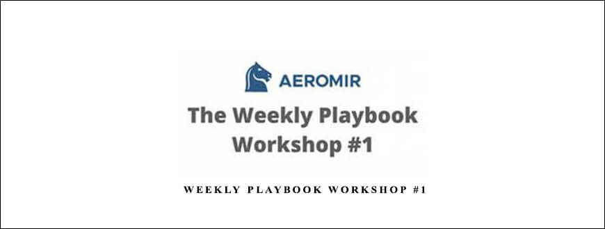 Amy-Meissner-Weekly-Playbook-Workshop-1.jpg