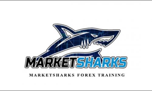 Avdo Hadziavdic – MarketSharks Forex Training