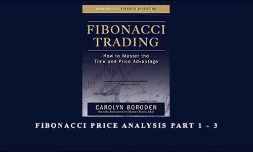 Carolyn Boroden – Fibonacci Price Analysis Part 1 – 3