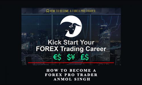 How To Become A Forex Pro Trader – Anmol Singh by Live Traders