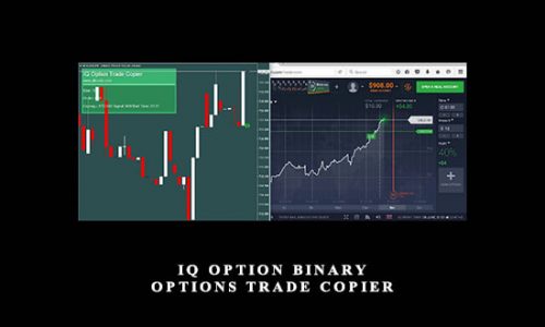 IQ Option Binary Options Trade Copier