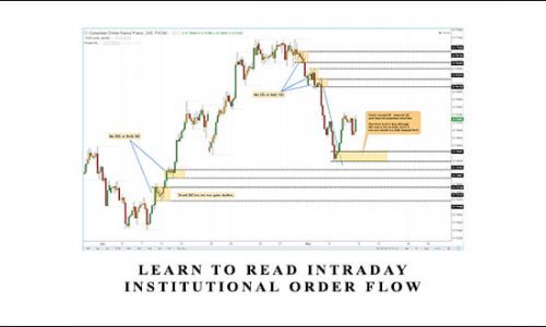 Learn To Read Intraday Institutional Order Flow