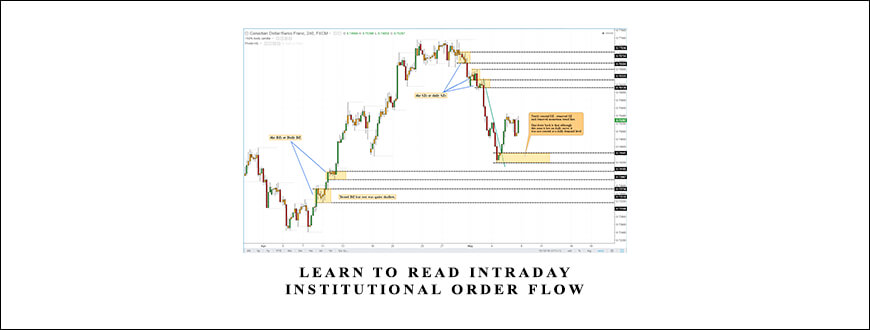 Learn To Read Intraday Institutional Order Flow