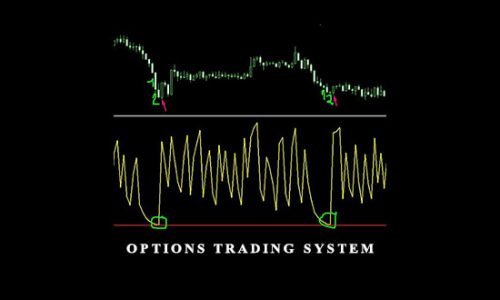 Options Trading System from John Locke