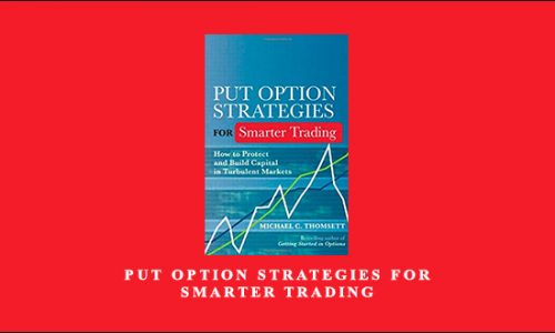 Put Option Strategies for Smarter Trading by Michael C.Thomsett