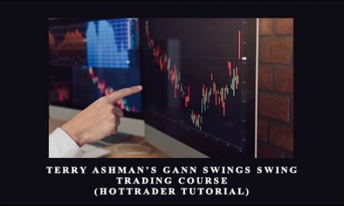 Terry Ashman’s Gann Swings Swing Trading Course (HotTrader Tutorial)