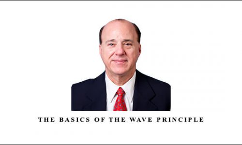 The Basics of the Wave Principle by Wayne Gorman