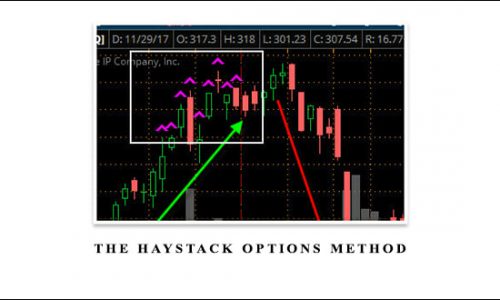 The Haystack Options Method (Elite Package)