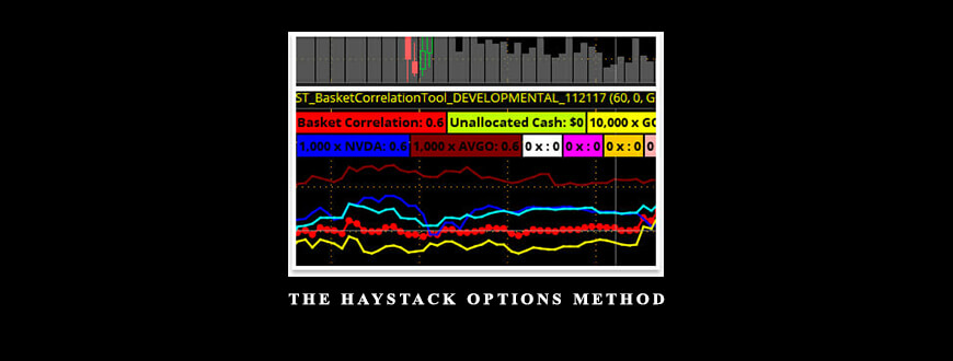 The-Haystack-Options-Method-Master-Package-1.jpg