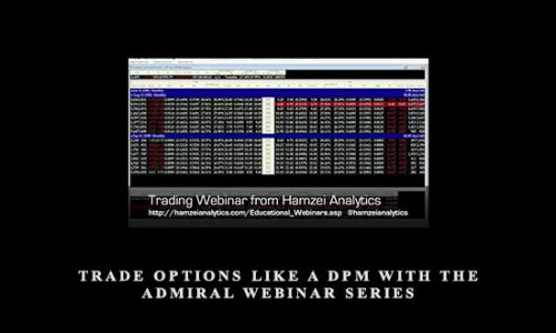 Trade Options Like a DPM with The Admiral Webinar Series by Hamzei Analytics