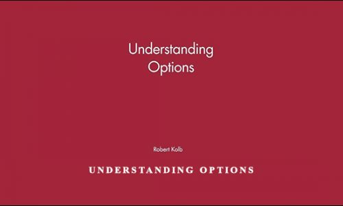 Understanding Options by Robert W.Kolb