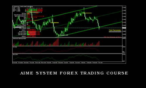 AIME System Forex Trading Course