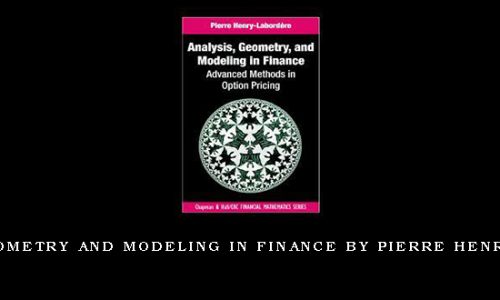 Analysis, Geometry and Modeling in Finance by Pierre Henry-Labordere