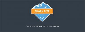 Big Fish Shark Bite Strategy