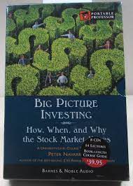 Big Picture Investing by Peter Navarro