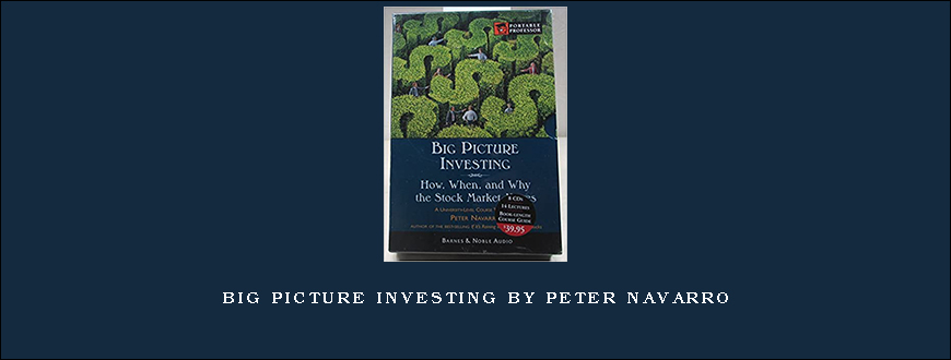 Big Picture Investing by Peter Navarro