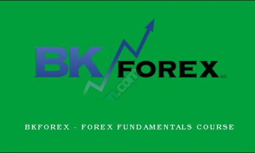 Bkforex – forex fundamentals course