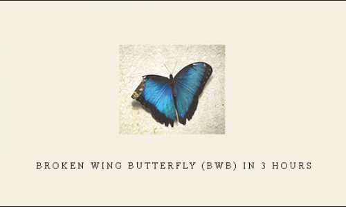 Broken Wing Butterfly (BWB) in 3 Hours