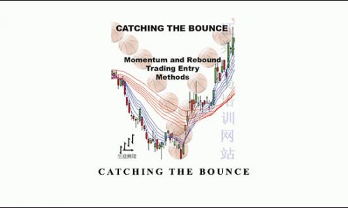 Catching the Bounce by Daryl Guppy