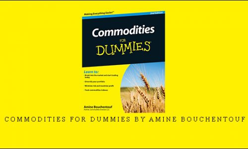 Commodities for Dummies by Amine Bouchentouf