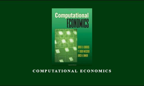 Computational Economics by David A.Kendrick