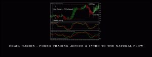 Craig Harris - Forex Trading Advice & Intro to The Natural Flow