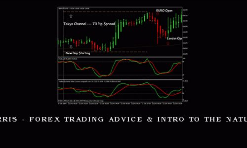 Craig Harris – Forex Trading Advice & Intro to The Natural Flow