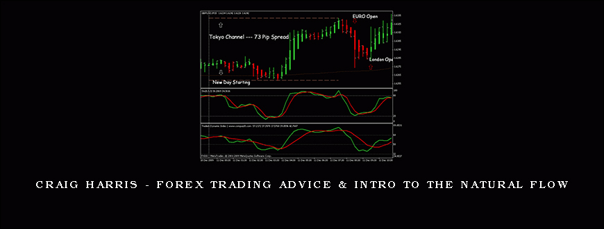 Craig Harris – Forex Trading Advice & Intro to The Natural Flow