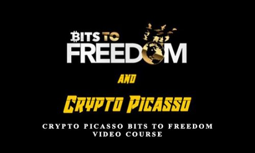 Crypto Picasso Bits to Freedom Video Course