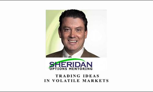 Dan Sheridan – Trading Ideas in Volatile Markets