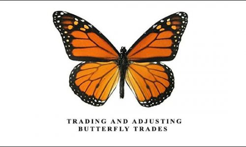 Dan Sheridan – Trading and Adjusting Butterfly Trades