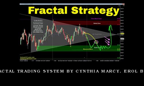 Euro Fractal Trading System by Cynthia Marcy, Erol Bortucene