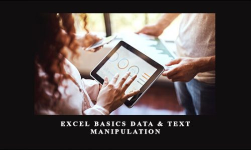 Excel Basics Data & Text Manipulation