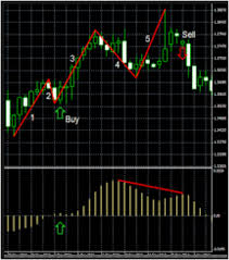 ForexKnight Courses (inc. indicators for MT4)