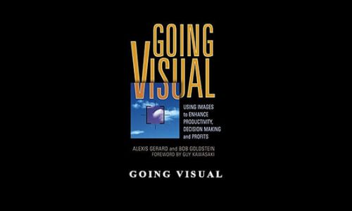 Going Visual by Alexis Gerand