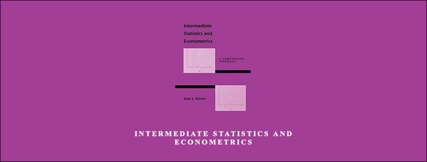 Intermediate Statistics and Econometrics by Dale J.Poirier