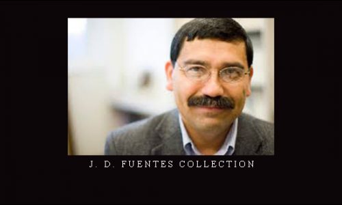 J. D. Fuentes Collection