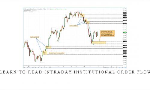 Learn To Read Intraday Institutional Order Flow