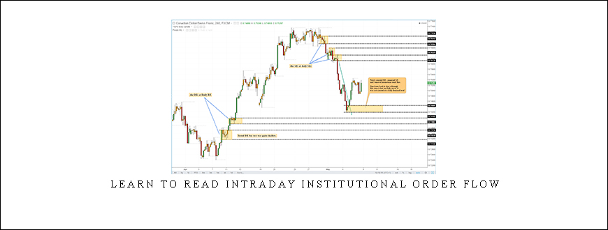 Learn To Read Intraday Institutional Order Flow