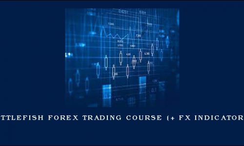 Littlefish Forex Trading Course (+ FX Indicators)